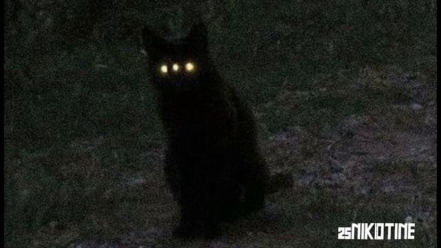 CAN'T, Keep - Город Акул (tg: NIKOTINE25) смотреть онлайн