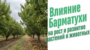 Влияние удобрений на рост и развитие растений и животных.