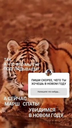 2022 й- ГОД  ТИГРА,   А СЕГОДНЯ ДЕНЬ, КОГДА ЖЕЛАНИЯ ВАШИ БУДУТ УСЛЫШАНЫ-ЗАГАДЫВАЙТЕ ИХ СКОРЕЕ :-)