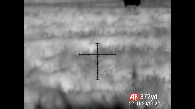 Bushpig hunting with the ATN Mars4 Thermal Scope смотреть онлайн