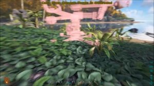 Ark survival Evolved Kairuku Taming