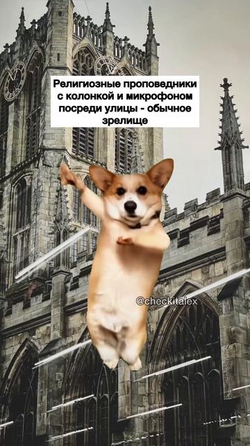 Что Меня Удивило После Переезда в Англию 😱 - ЗАЦЕНИ!💛 смотреть онлайн