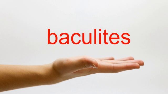 How to Pronounce baculites - American English смотреть онлайн