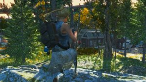 Fallout 4 большая сборка модов