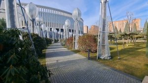 Краснодар. парк Галицкого.