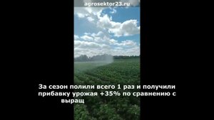 Полив картофеля в Алтайском крае установкой ДДН, +35% прибавка урожая!
