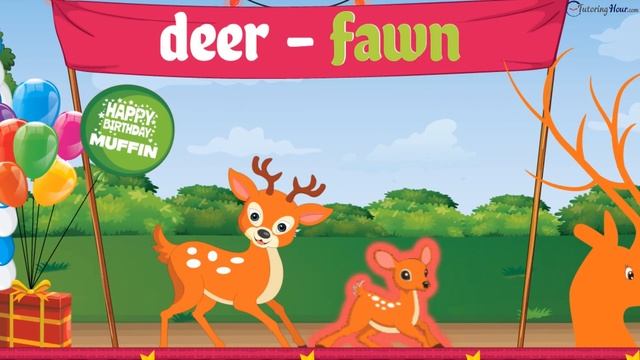 Baby Animals | Young Ones of Animals | Names of Animals and Their Young Ones for Kids смотреть онлайн