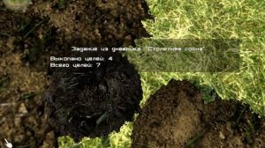 столетняя сосна как пройти