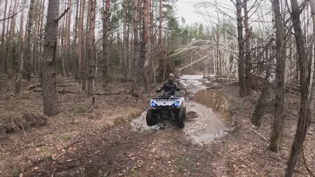 Первые Весенние  Грибы Сморчки 2024 года