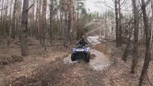 Первые Весенние Грибы Сморчки 2024 года