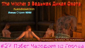 The Witcher 3 Ведьмак Дикая Охота Stream стрим 2025 Полное прохождение #27 Побег Чародеев из Города