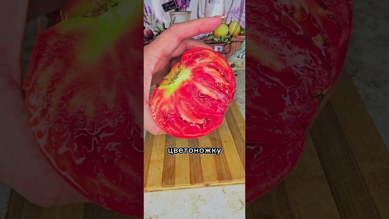 Самый лучший салат к плову (аччик-чучук, шакароб)