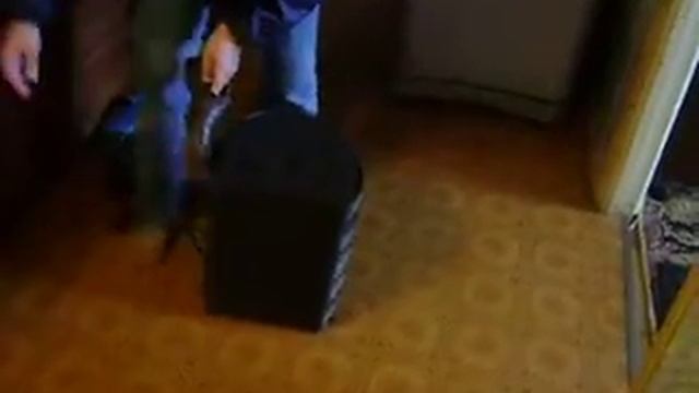 Укрощение тигра! смотреть онлайн