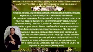 Самые важные знания. 
Характер Бога. 
Тема 2