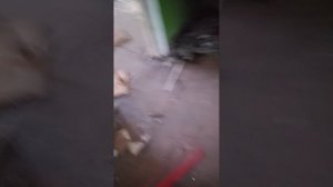 мы на заброшке