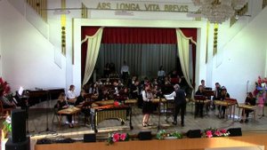 В. Матвийчук. "Ватра" Исполняет Гирс Екатерина и Народный оркестр белорусских народных инструментов