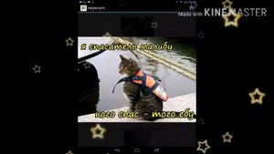 Приколы из ржунимагу 3