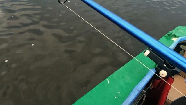 Рыбачу одна. Поймала хорошую щуку и ещё судачка.