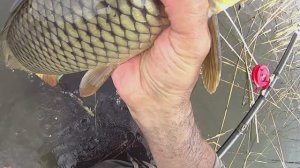 КАРП по холодной ВОДЕ!