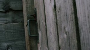 Капля дождя...