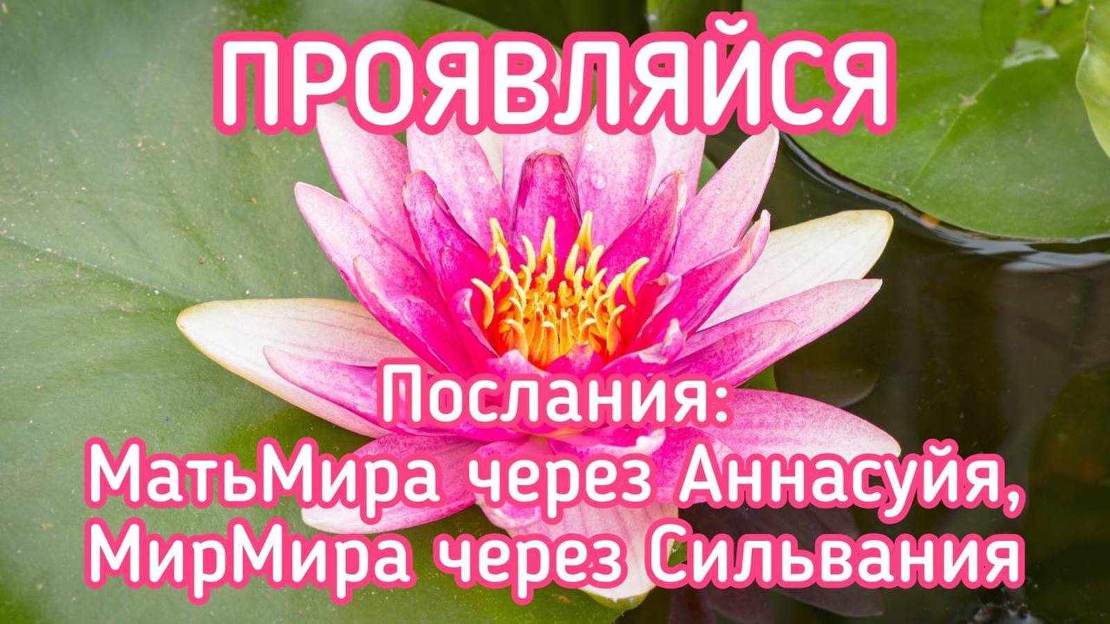 ПРОЯВЛЯЙСЯ  ПОСЛАНИЯ:МатьМира через Аннасуйя МирМира через Сильвания.