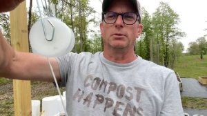 Growing Tomatoes in Buckets - Best Methods         #tomato