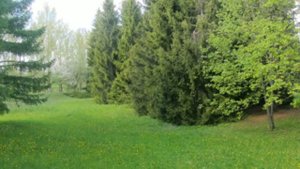 Летняя красота курорта  Ундоры. Ундоры - это здоровье от природы!