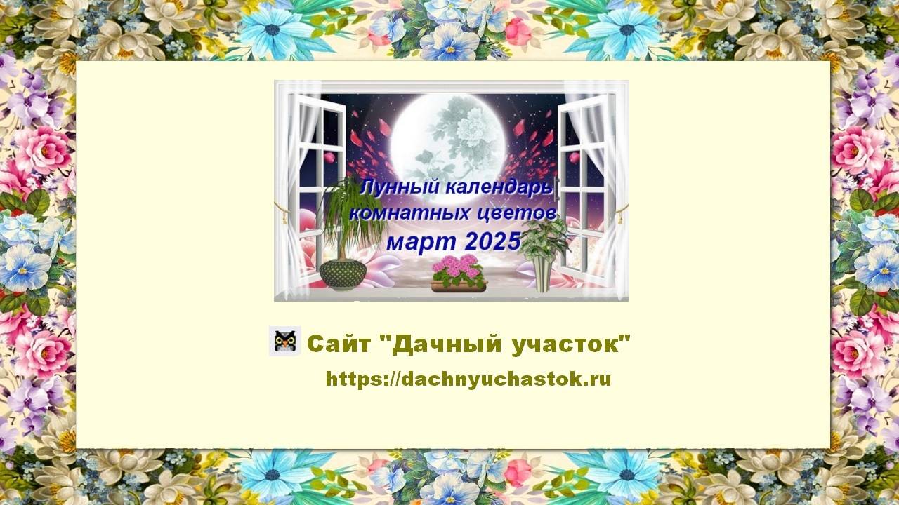 Лунный календарь комнатных растений и цветов на март 2025 года