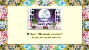 Лунный календарь комнатных растений и цветов на март 2025 года
