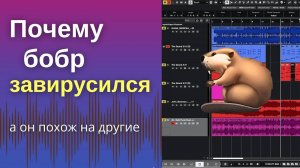 Почему бобр завирусился