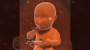 ABDULLOH DOMLA MARUZALARI HOMILADORLIK DAVRIDA