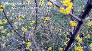 🍉 Наглая свекровь требовала у невестки денег, а спустя время выяснилось, что ...