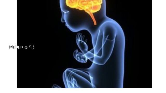 how to improve baby brain development during pregnancy in Tamil | Best foods baby brain development смотреть онлайн