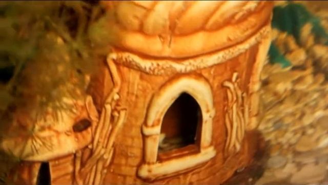 Ломбардо смотреть онлайн