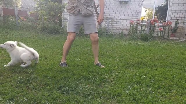 девочка розовая лента
