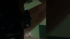 16 Маша Трактор