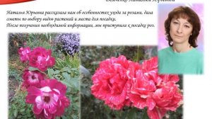 Подарок школе 2018