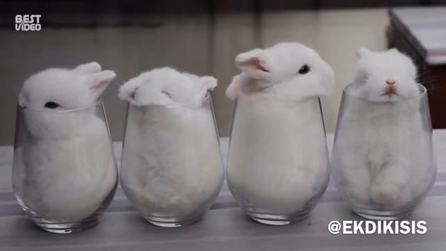 Милота с таканах смотреть онлайн