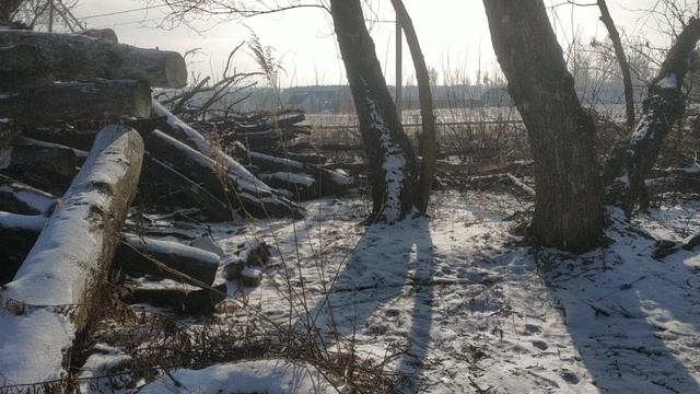 Солнечный февраль - работаем на Альшанской поляне