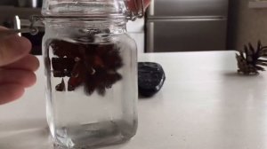 ОПУСКАЮ ПОЛОМАННУЮ ШИШКУ В ХОЛОДНУЮ ВОДУ. ЧТО ПРОИЗОЙДЁТ?