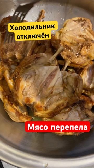 Как готовить мясо перепела #готовимдома#перепела#мясоперепела#жара#украина#хитрукелена