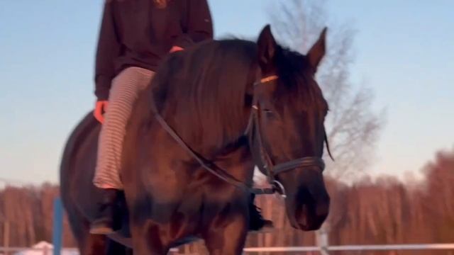 Что для тебя лошадь... смотреть онлайн