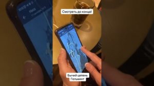 Вышел бычий цепень . Результат с леденцами