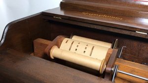 Wilcox & White Symphonia Organette