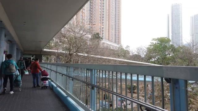 【WalkViewer】🇭🇰Wet Market, Mong Kok, Hong Kong 4K video смотреть онлайн