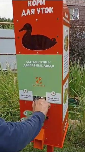 Вендинговый автомат для продажи корма для уток смотреть онлайн