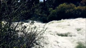 Stive Morgan - Spirit Of The Earth