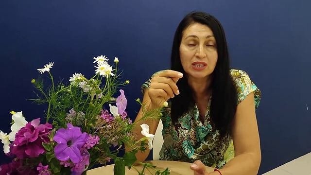 Результат собачки.