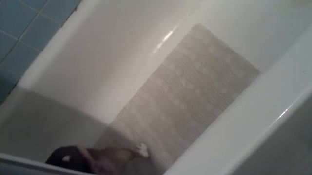 Rocko playing in the tub смотреть онлайн