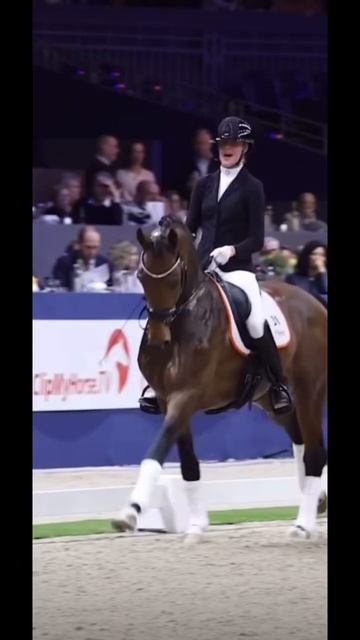 Here’s a dressage edit! #horseriding #equestrian #english #Dressage смотреть онлайн